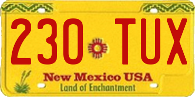 NM license plate 230TUX