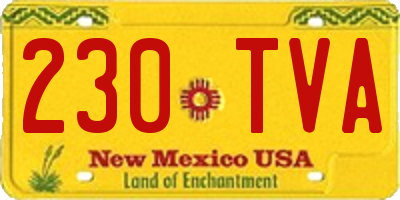 NM license plate 230TVA