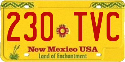NM license plate 230TVC