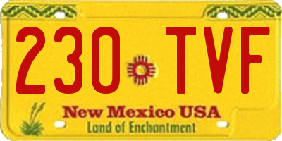 NM license plate 230TVF
