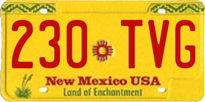 NM license plate 230TVG