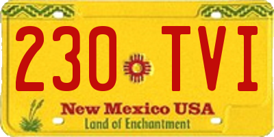 NM license plate 230TVI