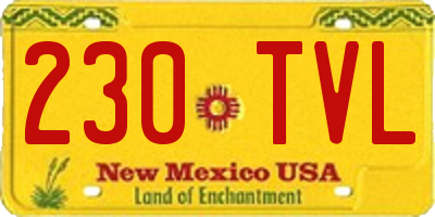 NM license plate 230TVL