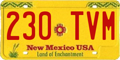 NM license plate 230TVM
