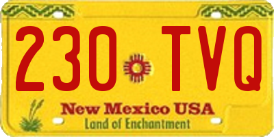 NM license plate 230TVQ