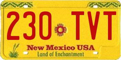 NM license plate 230TVT