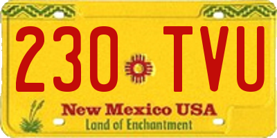 NM license plate 230TVU