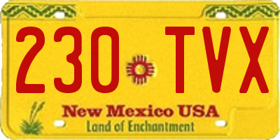 NM license plate 230TVX