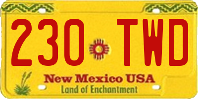 NM license plate 230TWD