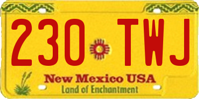 NM license plate 230TWJ