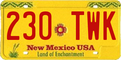 NM license plate 230TWK
