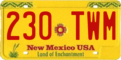 NM license plate 230TWM