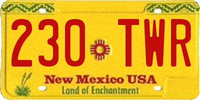 NM license plate 230TWR