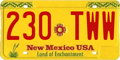 NM license plate 230TWW