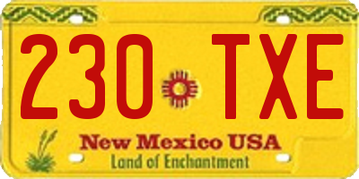 NM license plate 230TXE