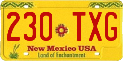 NM license plate 230TXG