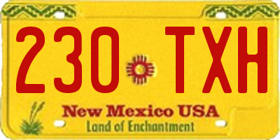 NM license plate 230TXH