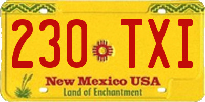 NM license plate 230TXI
