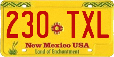 NM license plate 230TXL