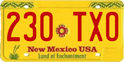 NM license plate 230TXO