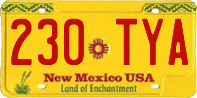 NM license plate 230TYA