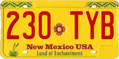 NM license plate 230TYB