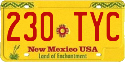 NM license plate 230TYC