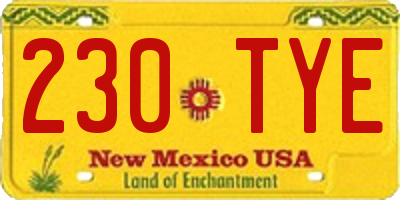 NM license plate 230TYE