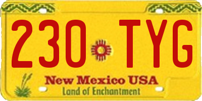 NM license plate 230TYG