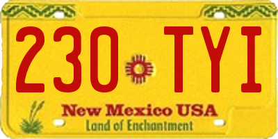 NM license plate 230TYI