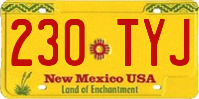 NM license plate 230TYJ