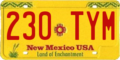 NM license plate 230TYM