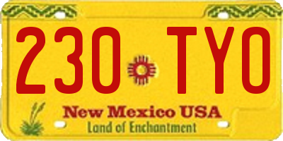 NM license plate 230TYO