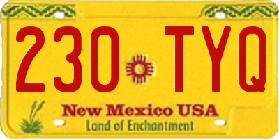 NM license plate 230TYQ