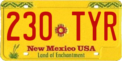 NM license plate 230TYR