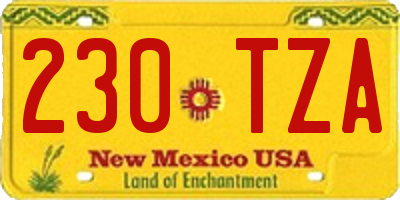 NM license plate 230TZA