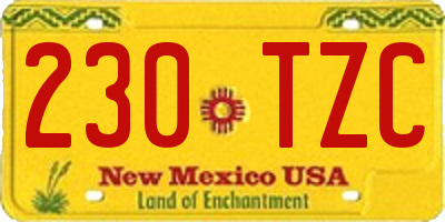 NM license plate 230TZC