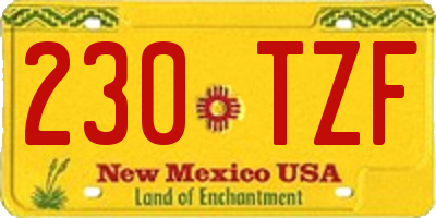 NM license plate 230TZF