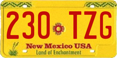 NM license plate 230TZG