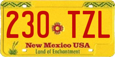 NM license plate 230TZL