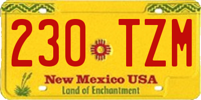 NM license plate 230TZM