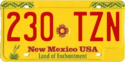 NM license plate 230TZN