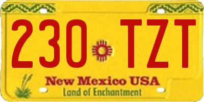 NM license plate 230TZT