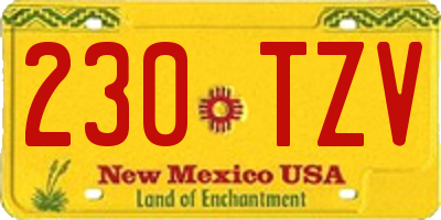 NM license plate 230TZV