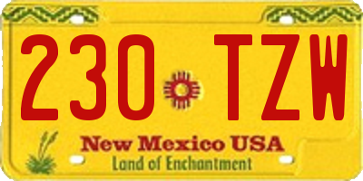 NM license plate 230TZW
