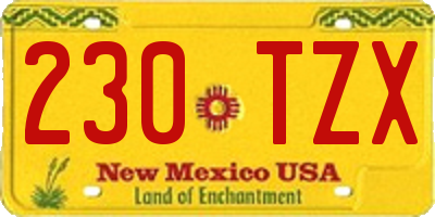 NM license plate 230TZX