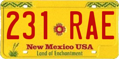 NM license plate 231RAE