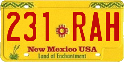 NM license plate 231RAH