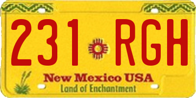 NM license plate 231RGH