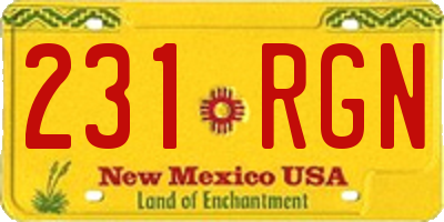 NM license plate 231RGN
